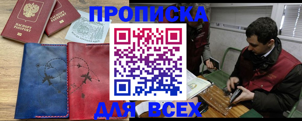 прописка в Курчалом